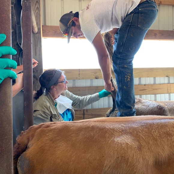 Meet your Posher, Terri - Picture 7 of 15